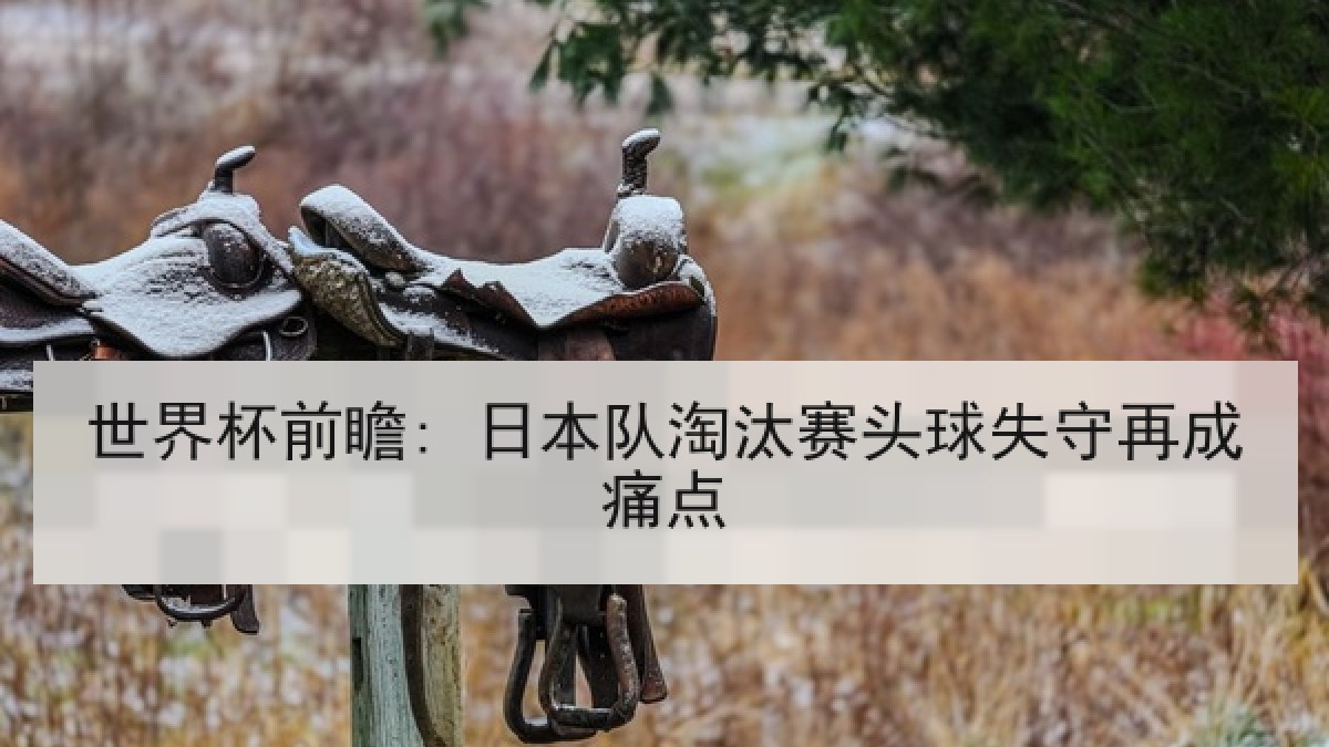 世界杯前瞻: 日本队淘汰赛头球失守再成痛点