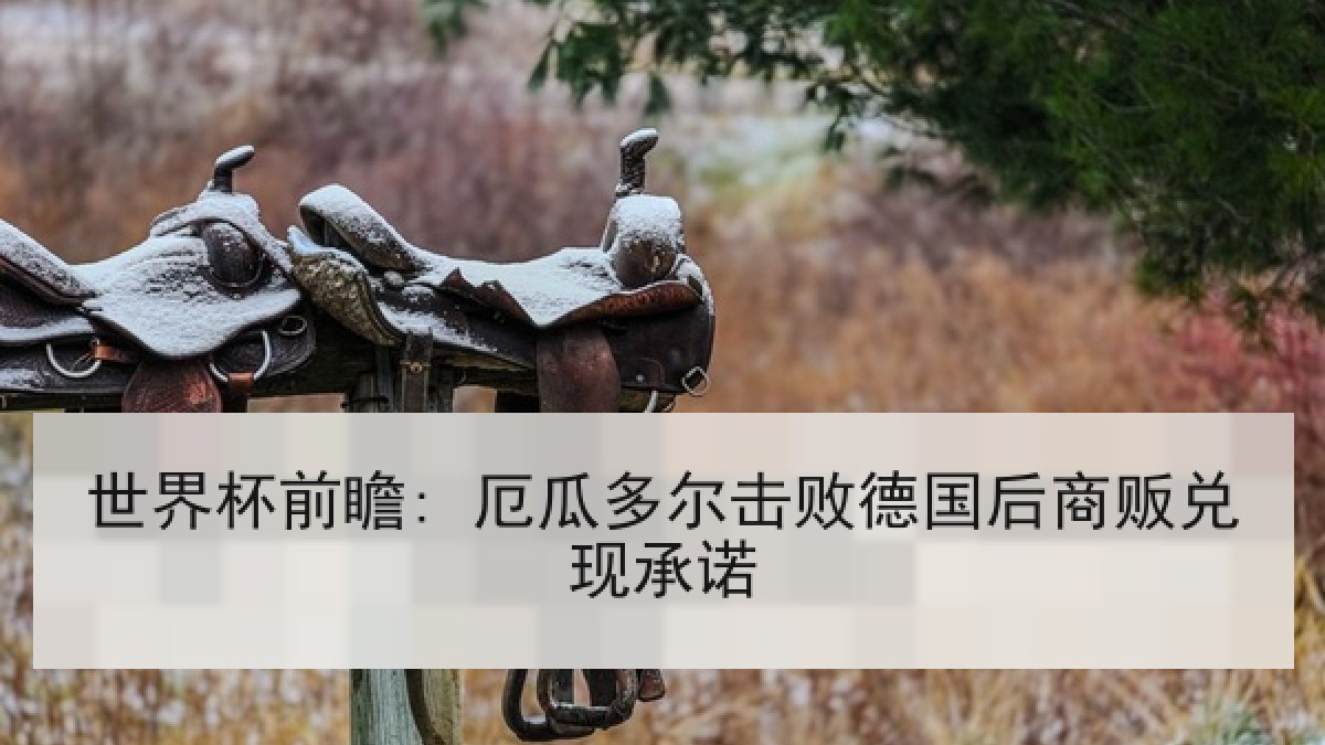世界杯前瞻: 厄瓜多尔击败德国后商贩兑现承诺