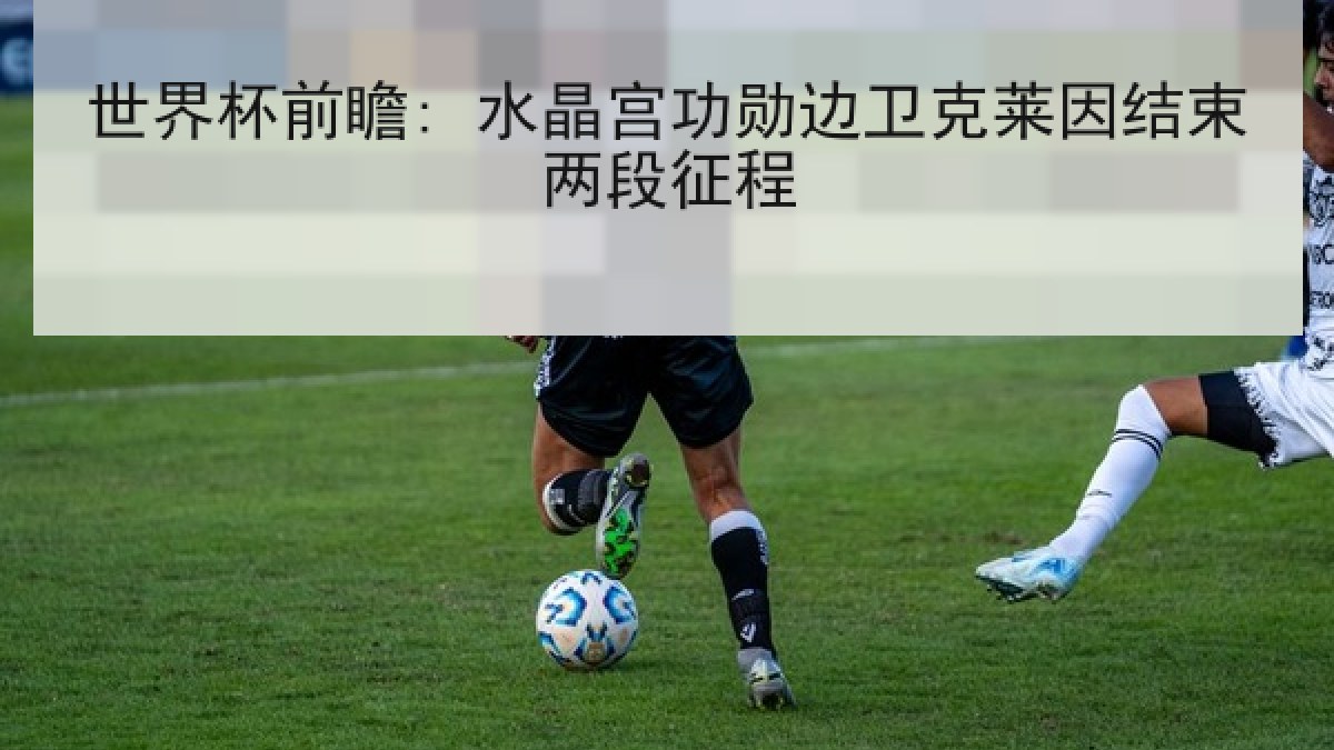 世界杯前瞻: 水晶宫功勋边卫克莱因结束两段征程