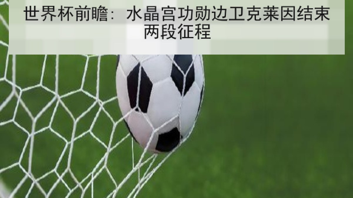 世界杯前瞻: 水晶宫功勋边卫克莱因结束两段征程
