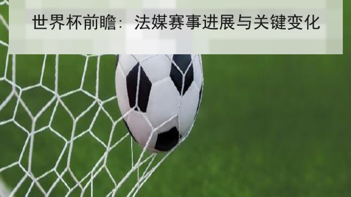 世界杯前瞻: 法媒赛事进展与关键变化